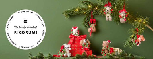Ricorumi Christmas CAL Box 6