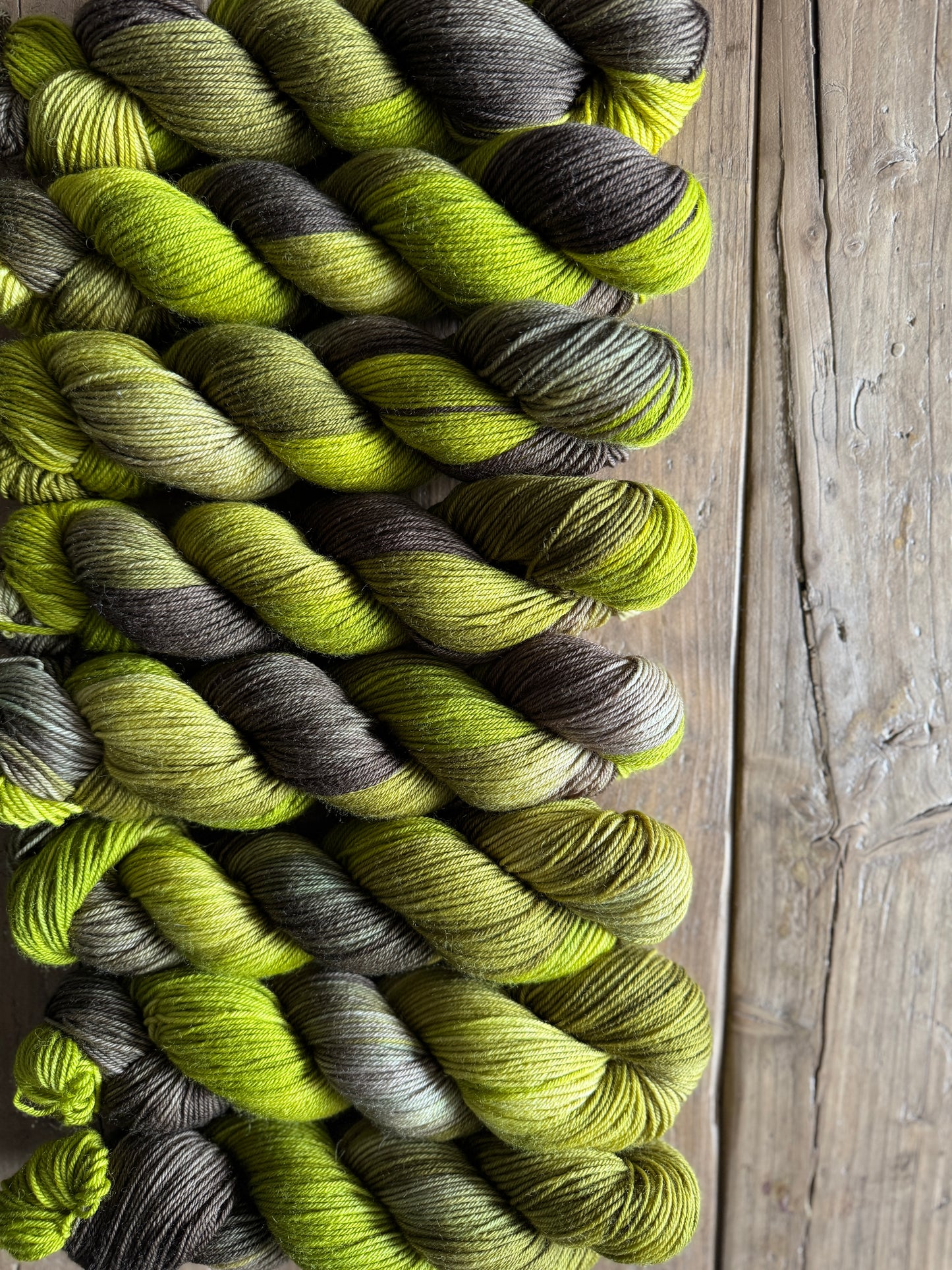 Cocoon - Bluefaced Leciester
